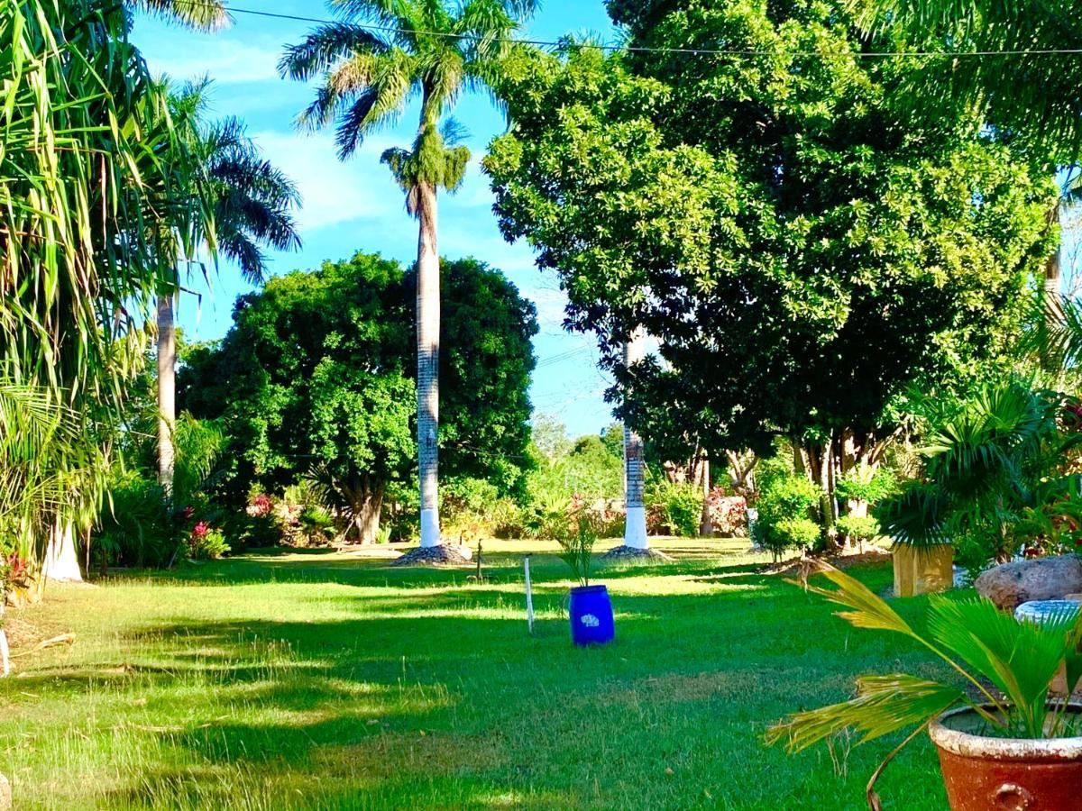 Hotel Green River Izamal Exteriér fotografie